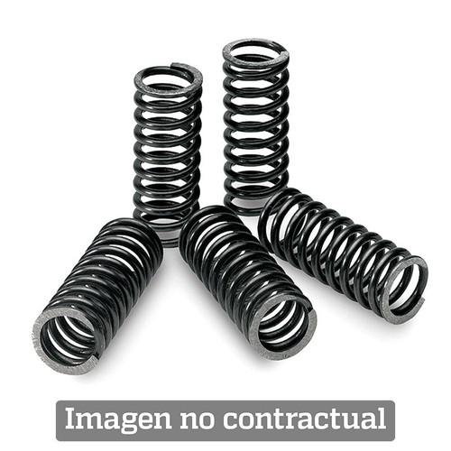 Kupplungsfedernsatz für