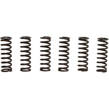 Kupplungsfedern verstärkt TRW